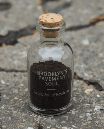 Brooklyn's Pavement Soul: Exotic Soil of Resilience (4oz)